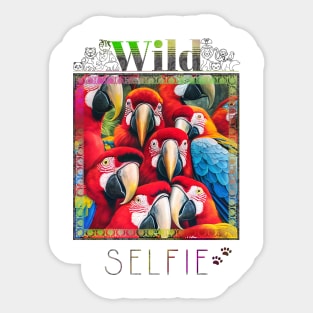 Bird Parrot Wild Nature Funny Happy Humor Photo Selfie Sticker